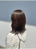 光に透ける春のブラウン