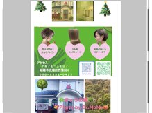 ドクターモモ(Dr.MOMO)の雰囲気(森をイメージした隠れ家で只今1周年フェアー開催中!LINE歓迎!)