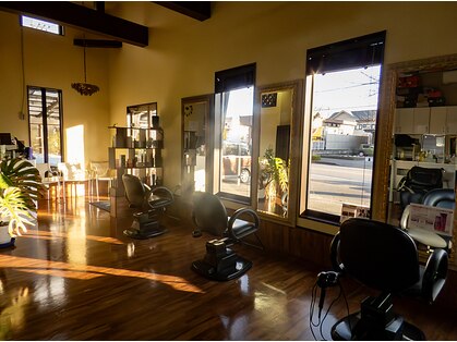 マジックの写真