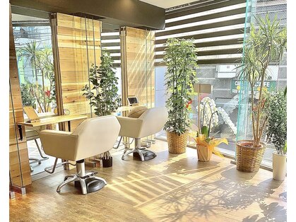ヘアー ジップ(hair Zip)の写真