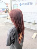 コーラルブラウン   オレンジブラウン