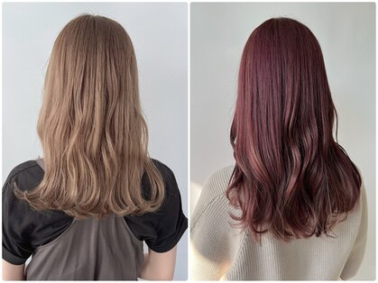 シェリッシュ ノース(Sheriche North)の写真