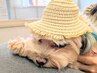 【ママのご褒美温活】お子様のカット中にお母さんは個室よもぎ蒸し50分♪