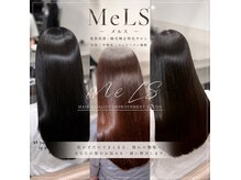 メルス(MeLS)
