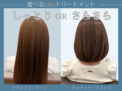 リノ(Lino)の写真