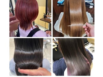 Regalia【レガリア】