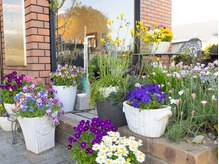 伊藤洋子の店の雰囲気(入り口もお花がお出迎え♪季節のうつろいを感じて下さい。 )