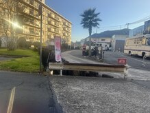 ドクターモモ(Dr.MOMO)の雰囲気(入り口に大きなヤシの木!桃の道しるべを1番奥へ!駐車場有り!)