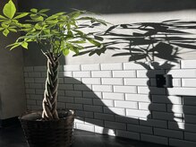 リト(Lit)の雰囲気（【町田駅／古淵駅／髪質改善／白髪ぼかし／インナーカラー】）