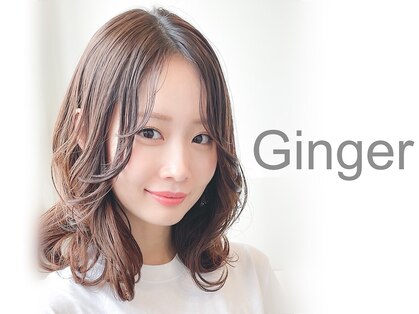 ジンジャー(Ginger)の写真