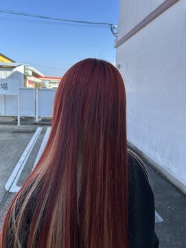 ディーボーイリタ 光の森(D-BOY Lita) レッド/ベージュカラー