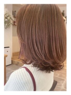 トマ(TOMA) ミディアム