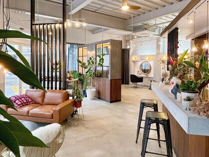 チャオ(ciAo!)の写真