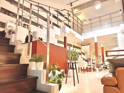 チル アウト ヘア ロジック(chill out hair Logic)の写真