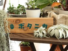 グロウ ヒロセガワ(grow hirosegawa)の雰囲気（エアープランツや多肉植物を扱う植物専門店<ボタニカ>を併設）