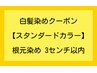 【白髪染めクーポン・スタンダードカラー】 根元染め 3cm以内