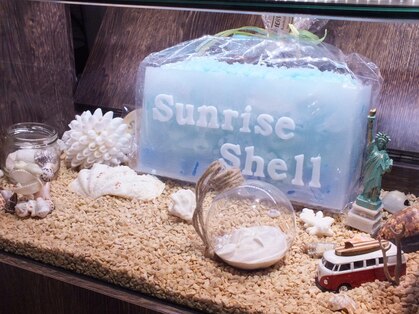 サンライズシェル(Sunrise Shell)の写真