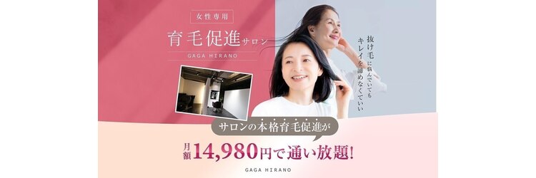 ガガヒラノ AGA 聖蹟桜ヶ丘店(GAGA HIRANO&AGA)のサロンヘッダー