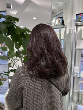 ノーム(NORME) バイオレットブラウン