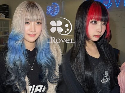 ローバー(Rover)の写真