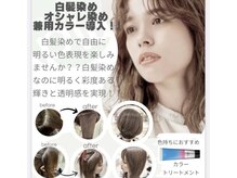 ボッシュヘアープリュ 徳力店(bosch HAIR Plu')の雰囲気（クリスタルカラーで白髪染めもオシャレ染めも明るくて艶感up♪）