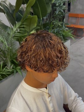 スキルメイト 天神(SKILL MATE) 【SKILL】波巻きパーマハイライト