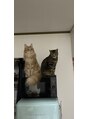 ファインリップ(Fine Lip) イタズラ大好きな猫と住んでます!