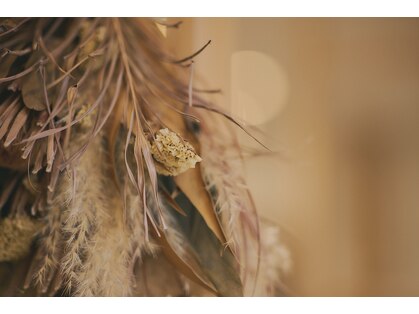 ビレール(B.r_l)の写真