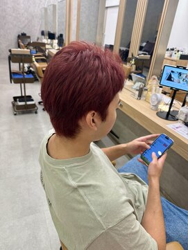 ピーディーヴィセオ 新さっぽろ店(PD VISEO) ワインレッド