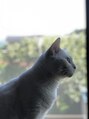 トゥルース 南柏店(TRUTH) 猫飼ってます。