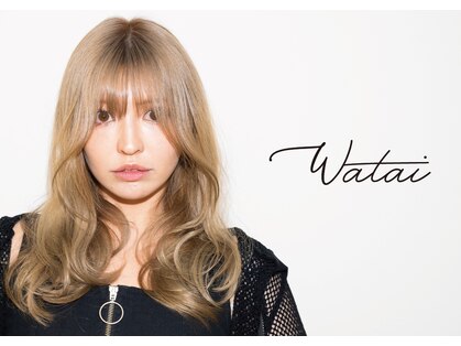 ワタイ(Watai)の写真