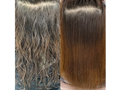 ヘアースペースハピエスの写真