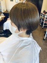 ピクシーボブ(Pixie Bob) イルミナ新色カラー