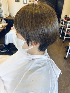 ピクシーボブ(Pixie Bob) イルミナ新色カラー