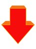 【全員・再来様専用クーポン】ここから下になります！