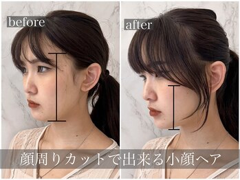 WiLL 京橋店 【ウィル】