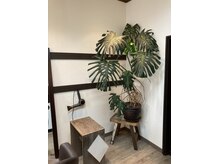 ヘアースタジオ ビス(hair studio Bis)