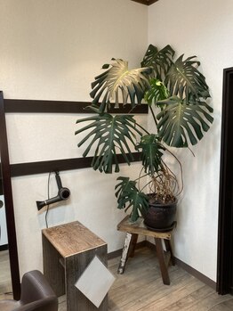 ヘアースタジオ ビス(hair studio Bis)の写真/初めての方も緊張せずに通えるアットホームサロン♪緊張しない居心地の良さであなただけのサロンタイムを☆