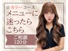 【ご相談120分クーポン】カラー+最適なトリートメントをご提案します☆9900~
