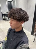 プードルパーマ1