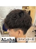 スペインカール