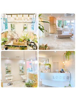 ローカス 東久留米店(LOCUS)の写真/再現性の高い柔らかな雰囲気と女性らしさを引き出す技術に定評あり◎こだわりのデザイン内装でリラックス＊