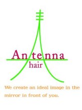 Antenna hair