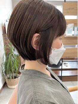 白髪の原因を改善し、地肌環境を整えるヘアケアからお伝えします◎髪のお悩みお気軽にご相談ください☆