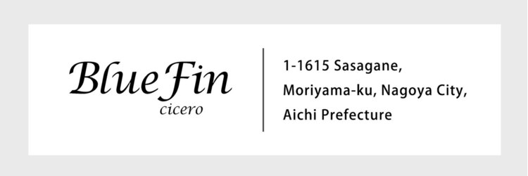 ブルーフィン シセロ(Blue Fin cicero)のサロンヘッダー