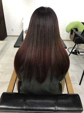 アリエッタ ヘアー カラーズ(arietta) ダークレッド×ロコル