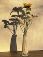 ゼル アリオ鷲宮(ZELE) お花が好きで家に季節感のある花をよく飾っています。