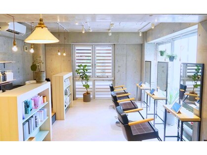 カミーノ(Camino)の写真