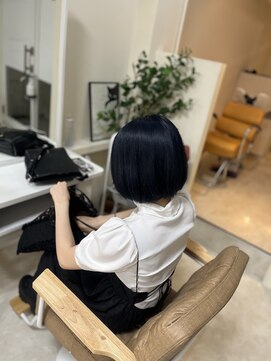 カリーナ(CARINA) 艶髪カラー/ネイビーカラー