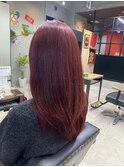 ボルドー